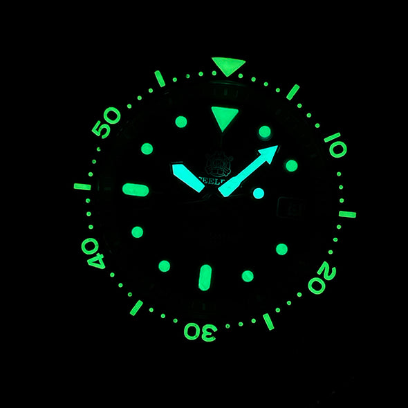 ★Anniversary Sale★Steeldive SD1973S SKX007 Bronze Dive Watch
